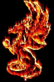 Benutzeravatar