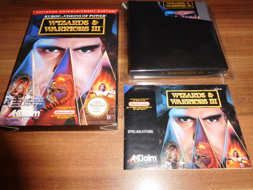Wizards & Warriors III.JPG