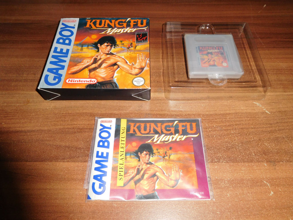 Kung Fu Master.JPG