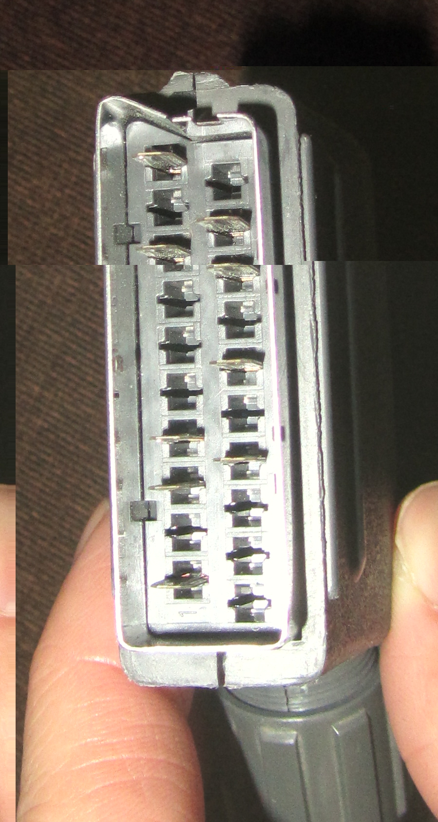 Scart Stecker