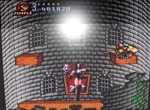 Battletoads in Battlemaniacs - Kneel before the Dark Queen.JPG