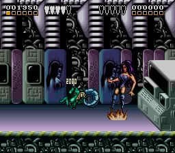 Battletoads & Double Dragon - Zeilensprung.jpg