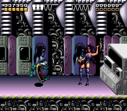 Battletoads & Double Dragon - Wildfang.jpg