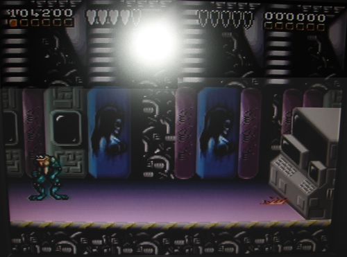 Battletoads & Double Dragon - Extraleben.JPG