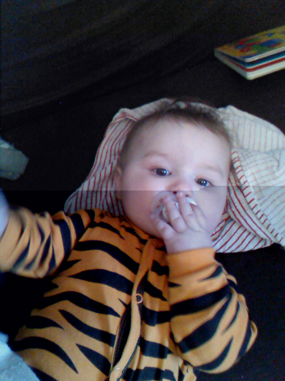 IMG_20131230_201644.jpg