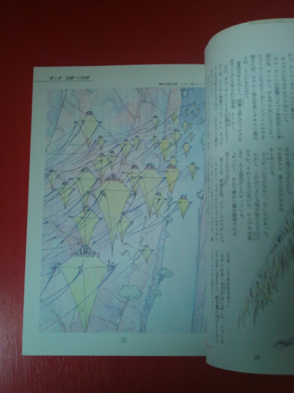WP_000988.jpg